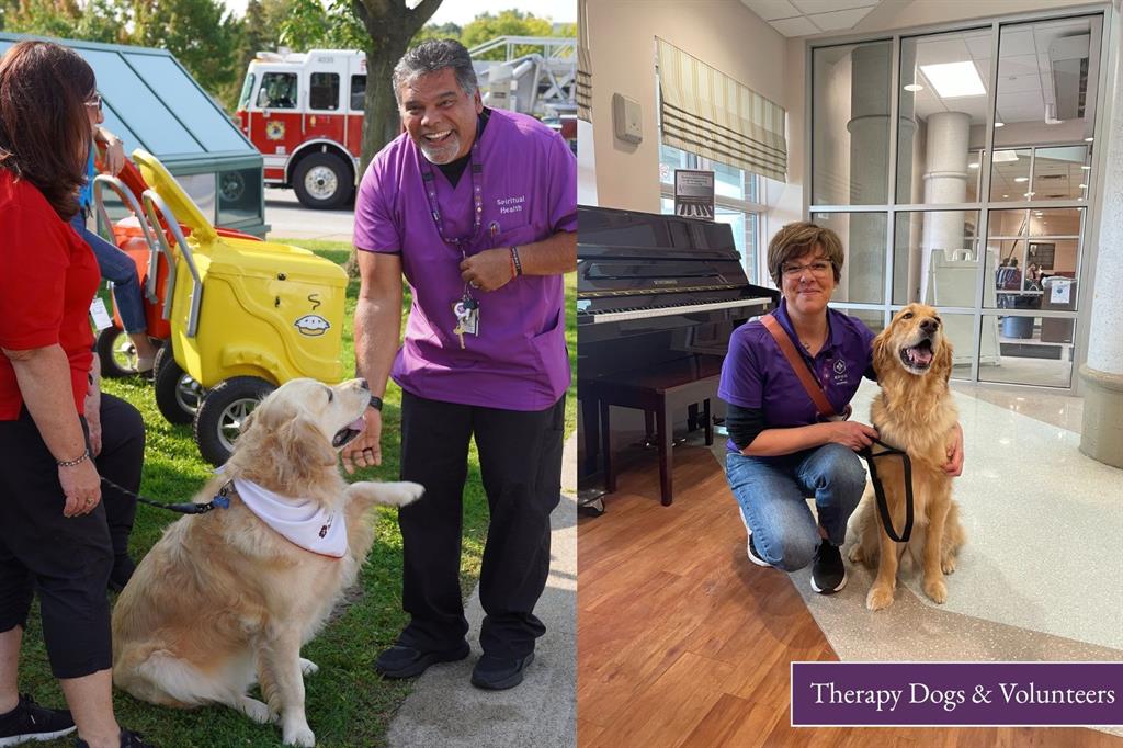 Therapy Dogs
